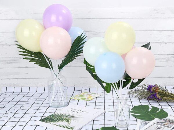 Различни цветни балони с палмови листа за празнична украса, идеална за парти или събитие, с елегантна и свежа атмосфера.