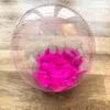 Разкошна прозрачна балон с ярки розови пера, перфектен аксесоар за парти и украса. Идеален за събития, сватби, рождени дни и тематични партита с весело настроение.