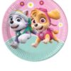 Цветна хартиена чинийка с героите от Paw Patrol, идеална за детски партита и празненства, хармонично съчетание на ярки цветове и забавен дизайн.