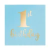 8754_1st_birthday_balloon.jpg.