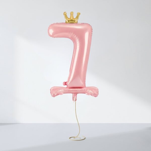 БАЛОНИ ЦИФРИ