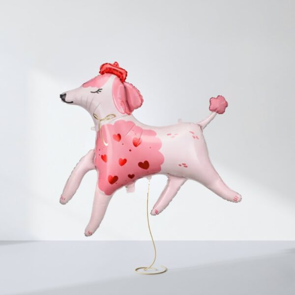 БАЛОНИ ЖИВОТНИ