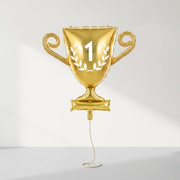 БАЛОНИ ЗА МОМЧЕ