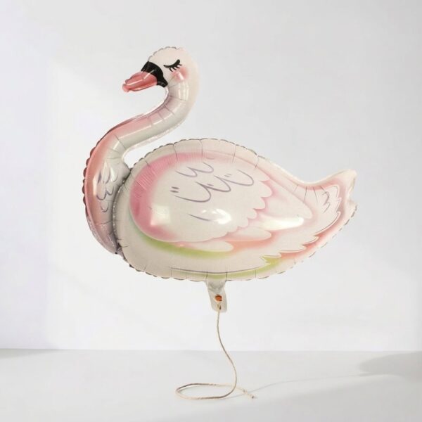 БАЛОНИ ЗА МОМИЧЕ